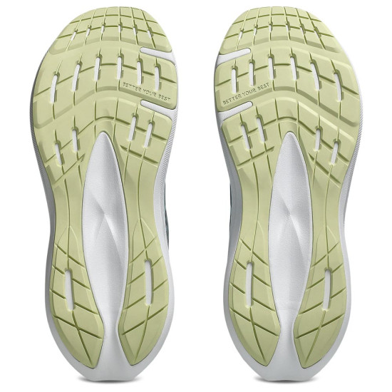 Asic Patriot14 (GS)